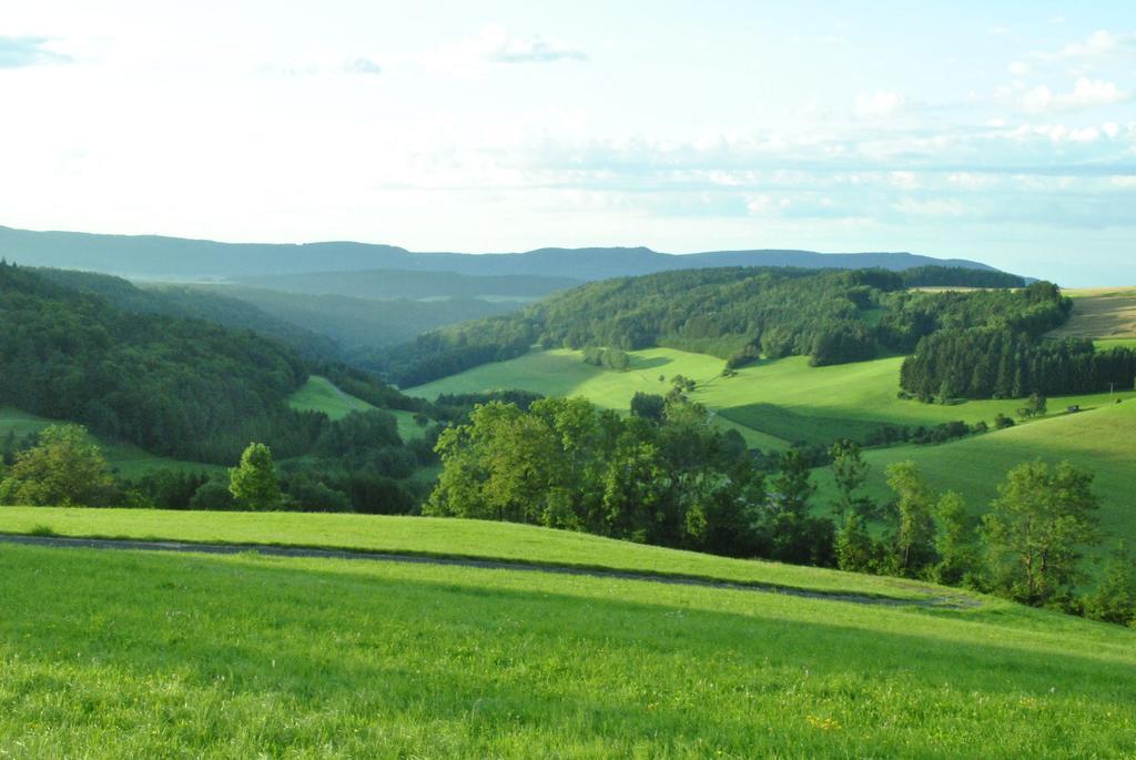 Gasthaus Kranz Лаусхайм Экстерьер фото