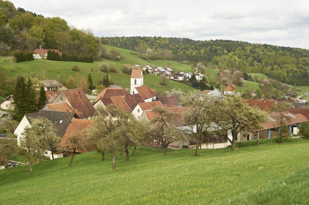 Gasthaus Kranz Лаусхайм Экстерьер фото