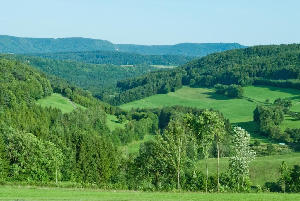 Gasthaus Kranz Лаусхайм Экстерьер фото